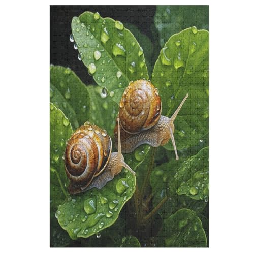Schnecken Puzzle 1000 Teile, Holzpuzzle Für Erwachsene Kinder, Impossible Puzzles, Geschicklichkeitsspiel Für Die Ganze Familie 78×53cm Schnecken Puzzle 1000 Teile, Holzpuzzle Für Erwachsene Kinder, Impossible Puzzles, Geschicklichkeitsspiel Für Die Ganze Familie 78×53cm von DCCCY