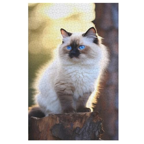 Animal Katze Puzzle 1000 Teile, Holzpuzzle Für Erwachsene Kinder, Impossible Puzzles, Geschicklichkeitsspiel Für Die Ganze Familie （78×53cm） von DDFRTYY