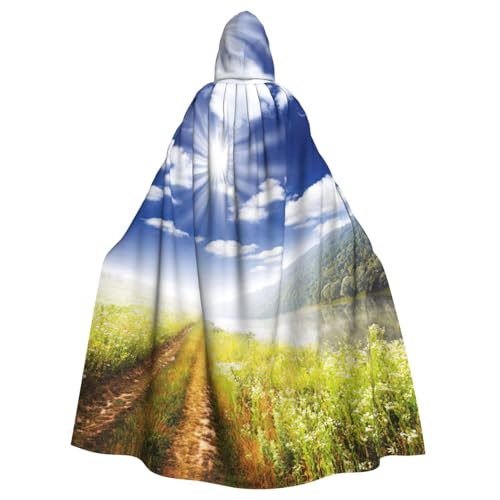 DDSFvbv Beautiful Scenery Unisex Halloween Kapuzenumhang Cosplay Kostüm Umhang für Party Dress Up Uniform Robe voller Länge von DDSFvbv