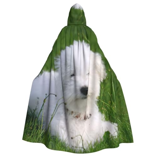 DDSFvbv Bichon on the Grass Unisex Halloween Kapuzenumhang Cosplay Kostüm Umhang für Party Dress Up Uniform Robe voller Länge von DDSFvbv