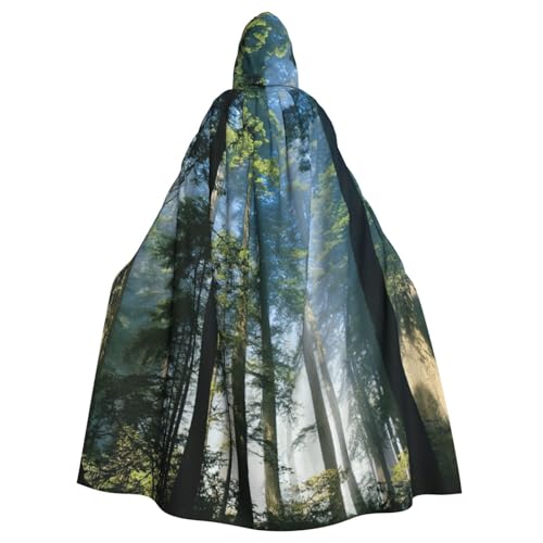DDSFvbv Nationalparks Sonnenschein Bäume Unisex Halloween Kapuzenumhang Cosplay Kostüm Umhang für Party Dress Up Uniform Robe voller Länge von DDSFvbv