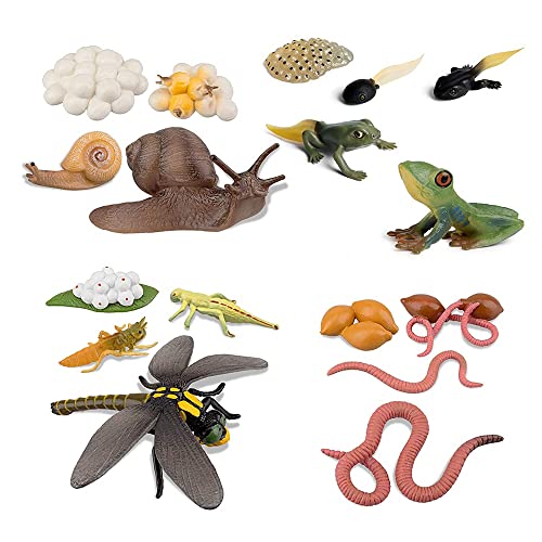 DEARBORN Lebenszyklus von Frosch Schnecke Regenwurm Libelle, Ei Kaulquappe zu Frosch Safariologie Amphibien Figuren Spielzeug-Kit Schulprojekt DEARBORN Lebenszyklus von Frosch Schnecke Regenwurm Libelle, Ei Kaulquappe zu Frosch Safariologie Amphibien Figuren Spielzeug-Kit Schulprojekt von DEARBORN