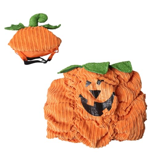 DEARMAMY 1 Set Haustier Kürbis Set Haustier Verkleidungszubehör Halloween Hund Karneval Haustierkostüm Kürbismuster Hut Kostüme Welpen Hündchen Kostümzubehör Haustierkleidung DEARMAMY 1 Set Haustier Kürbis Set Haustier Verkleidungszubehör Halloween Hund Karneval Haustierkostüm Kürbismuster Hut Kostüme Welpen Hündchen Kostümzubehör Haustierkleidung von DEARMAMY