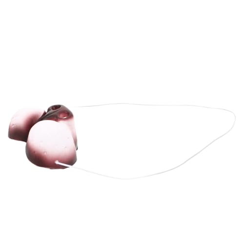 DEARMAMY Realistische Katzennase Cosplay Zubehör mit Elastischem Band Sicher und Langlebig für Faschingskostüme Halloween Kostümparty und Bühnenauftritte Passend für Erwachsene DEARMAMY Realistische Katzennase Cosplay Zubehör mit Elastischem Band Sicher und Langlebig für Faschingskostüme Halloween Kostümparty und Bühnenauftritte Passend für Erwachsene von DEARMAMY