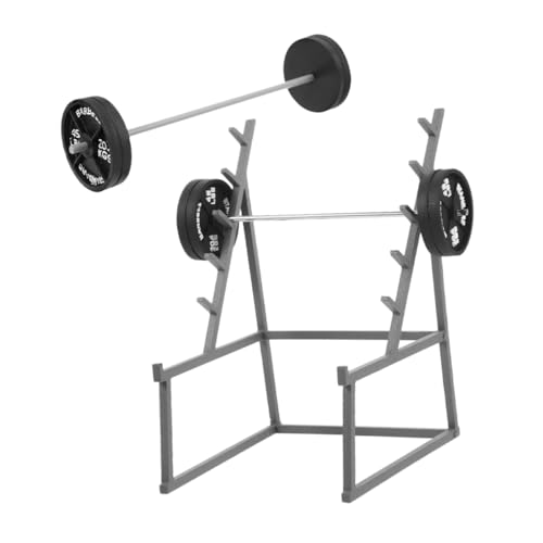 DECHOUS 1 Satz Fitness-langhantelmodell Puppenhaus Mini-langhantelmodell Langhantel-minimodell Miniatur-langhantel Deko Langhantel Requisiten Puppen-langhantel Mini-haussport Black Plastik DECHOUS 1 Satz Fitness-langhantelmodell Puppenhaus Mini-langhantelmodell Langhantel-minimodell Miniatur-langhantel Deko Langhantel Requisiten Puppen-langhantel Mini-haussport Black Plastik von DECHOUS