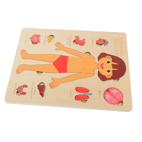 DECHOUS 1 Set Puzzle Tools Zur Menschlichen Körperstruktur Für Kinderpuzzles Kinderpuzzles Puzzles Zu Menschlichen Körperorganen Kognitives Werkzeug Für Anatomiemodell Puzzles Zu von DECHOUS