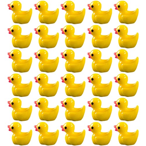 DECHOUS 100 Stück Mini-Enten Zum Verstecken Winzige Gelbe Harzenten Ornament Zum Basteln Kleine Tierfiguren Für Aquarium Gartenlandschaft Puppenhaus Topfdekor DECHOUS 100 Stück Mini-Enten Zum Verstecken Winzige Gelbe Harzenten Ornament Zum Basteln Kleine Tierfiguren Für Aquarium Gartenlandschaft Puppenhaus Topfdekor von DECHOUS