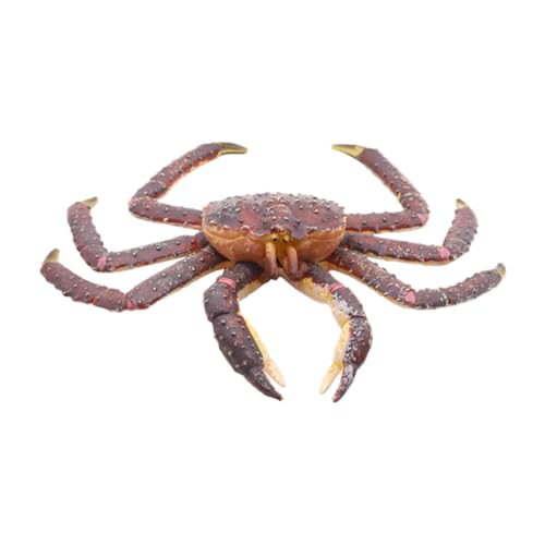 DECHOUS 1Pc Simulation Krabbenmodell Lernspielzeug Kinderspielzeug Kinderspielzeug Simulation Meerestiere Krabben Für Tiere Modell Krabben Ornament Kunststoff von DECHOUS