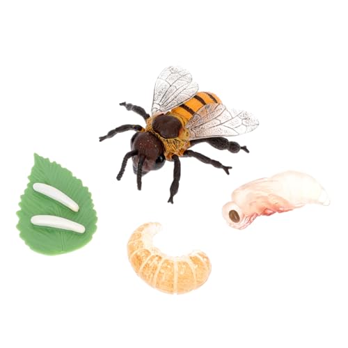 DECHOUS 1Satz Simulationsbienen Bienenwachstumszyklus Lernspielzeug für Miniaturmodell Frühkindlichen Bildung für Schulprojekte und Kreatives DECHOUS 1Satz Simulationsbienen Bienenwachstumszyklus Lernspielzeug für Miniaturmodell Frühkindlichen Bildung für Schulprojekte und Kreatives von DECHOUS