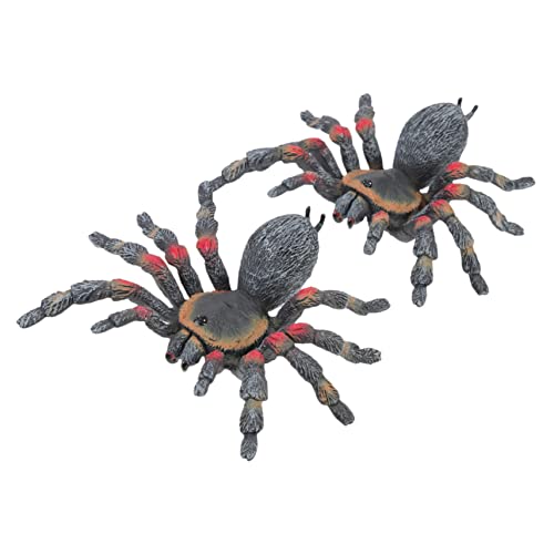 DECHOUS 2 Stück Insektenmodell Halloween Dekoration Halloween Decor Halloween-Spinnenfigur Halloween-Layout-Spinne gruseliges Spinnenspielzeug simulierte Spinnenfigur Plastik DECHOUS 2 Stück Insektenmodell Halloween Dekoration Halloween Decor Halloween-Spinnenfigur Halloween-Layout-Spinne gruseliges Spinnenspielzeug simulierte Spinnenfigur Plastik von DECHOUS