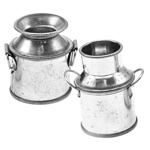 DECHOUS 2 Stück Mini-Blumenkübel hühner gieskanne kinderspielzeug miniaturvase mikrolandschaft Miniaturen Milchflasche Dekorationsideen für kleine Häuser Mini -Vase Legierung von DECHOUS