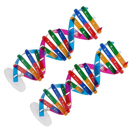 DECHOUS 2 Teiliges Molekulares Modell Modelle Der Menschlichen Biologie Wissenschaftlicher Rechner Passende Instrumente Wissenschafts Kits Labortest Gene Fördern Science Fiction DECHOUS 2 Teiliges Molekulares Modell Modelle Der Menschlichen Biologie Wissenschaftlicher Rechner Passende Instrumente Wissenschafts Kits Labortest Gene Fördern Science Fiction von DECHOUS