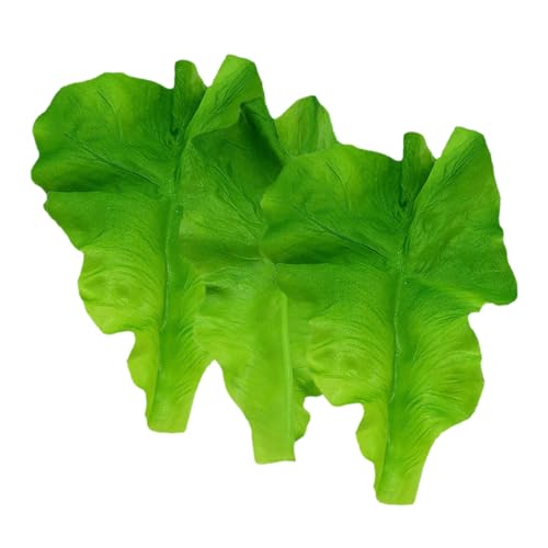 DECHOUS 3 Stück Salatblattmodell Simuliertes Salatblattdekor Gemüseblattmodell Dekoratives Salatblatt Lebensechter Salatschmuck Simulation Gemüsemodell Künstlicher Salat Green Plastik DECHOUS 3 Stück Salatblattmodell Simuliertes Salatblattdekor Gemüseblattmodell Dekoratives Salatblatt Lebensechter Salatschmuck Simulation Gemüsemodell Künstlicher Salat Green Plastik von DECHOUS