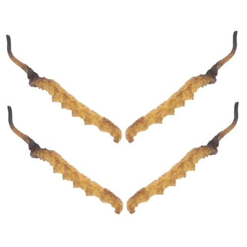 DECHOUS 4 Stück Cordyceps -Modell Arztzubehör Arztkoffer Modell der chinesischen Medizin Arzt Rollenspiel Requisiten medizinische Spielzeugartikel Plastik DECHOUS 4 Stück Cordyceps -Modell Arztzubehör Arztkoffer Modell der chinesischen Medizin Arzt Rollenspiel Requisiten medizinische Spielzeugartikel Plastik von DECHOUS