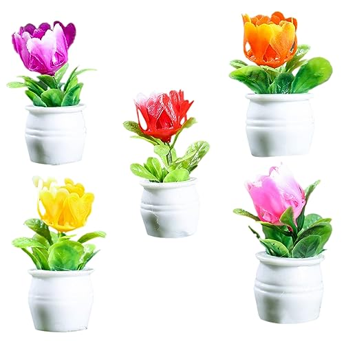 DECHOUS 5 Stück Micro Plants car Decoration Flower Pot pflanzkuebel puppenhauszubehör Kunsthandwerk aus Blumentöpfen aus Kunstharz Mini-Blumentopf für den Garten Blumentopf-Kunsthandwerk DECHOUS 5 Stück Micro Plants car Decoration Flower Pot pflanzkuebel puppenhauszubehör Kunsthandwerk aus Blumentöpfen aus Kunstharz Mini-Blumentopf für den Garten Blumentopf-Kunsthandwerk von DECHOUS