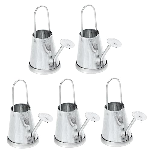 DECHOUS 5 Stück Wasserkocher Micro Landschaft winzig Miniatur Gießkanne für Pflanzen puppenhauszubehör Mini House Accessory Mini-Hausschmuck Mini-Foto-Requisite Eisen Silver von DECHOUS