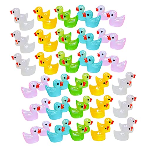 DECHOUS 60 Stck. Leuchtende Entenverzierung Mini-frösche Winzig Bausatz Frosch Miniatur Kleine Enten Ducken Mini-Enten Kleine Tierfiguren Statue Mini -gartendekoration Harz von DECHOUS
