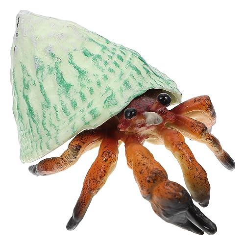 DECHOUS Hermit Crab Modellspielzeug Aus Hochwertigem Lebendiges Tiermodell Für Umweltbewusstsein Und Tierartenbildung von DECHOUS