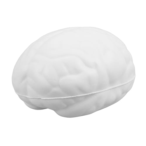 DECHOUS Hirndruckkugel Matschiges Für Stressballgunst Lustige Stressbälle Stressball Hersteller Stressball Für Die Hand Stressbälle Zappeln Hüpfende Stressbälle Pu Weiß von DECHOUS