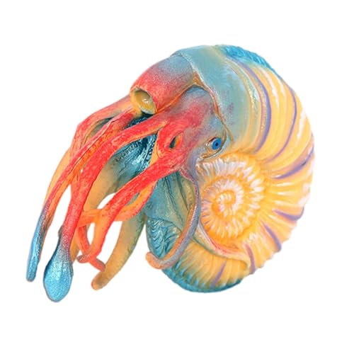 DECHOUS Lifelike Nautilus Modell Meeresbewohner Figur Lernspielzeug Bunte Farben Robustes Material Für Dekoration Und Kreativität von DECHOUS