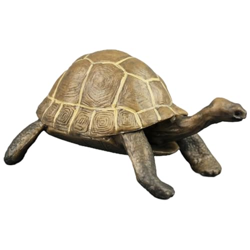 DECHOUS Realistisches Kunststoff schildkrötenmodell PVC Figur Tierfigur Dekorative Landschildkröte Bunte Gartendeko Lernspielzeug Geschenkidee von DECHOUS