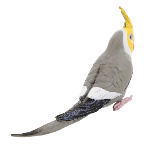 DECHOUS Realistisches Nymphensittich Modell Für Heimdekoration Künstliche Papageienfigur Als Ornamental Für Innen Und Außendekoration Simulation Vogel Papagei Dekoartikel DECHOUS Realistisches Nymphensittich Modell Für Heimdekoration Künstliche Papageienfigur Als Ornamental Für Innen Und Außendekoration Simulation Vogel Papagei Dekoartikel von DECHOUS