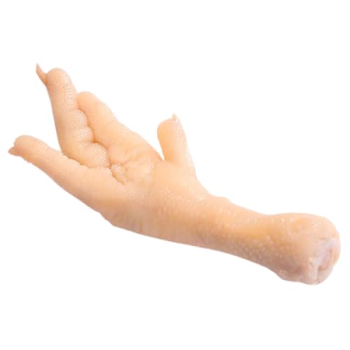 DECHOUS Simuliertes Hühnerfußmodell realistische Lebensmittelrequisiten falsches Fleisch falsches Huhn künstliche Fleischmodelle lebensechtes Kunstfleischmodell PVC Beige DECHOUS Simuliertes Hühnerfußmodell realistische Lebensmittelrequisiten falsches Fleisch falsches Huhn künstliche Fleischmodelle lebensechtes Kunstfleischmodell PVC Beige von DECHOUS