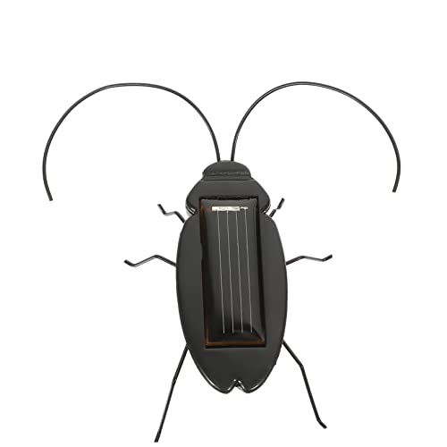 DECHOUS Sonnenschabe für kinderspielzeug kinderknallzeug Realistisches Insekten- spielsachen Solar- sensorisch Simulation Solarenergiespielzeug PVC Black von DECHOUS