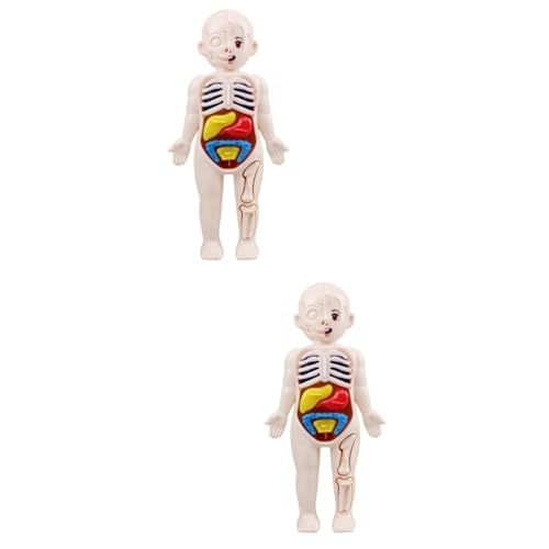 DECOMELODY 2 Sätze Beliebte Orgelmodelle sportgel die pe kindergeburtstags mitgebsel Pädagogisches Orgel-Puzzle lernen 3D- mit menschlichen Organen Plastik DECOMELODY 2 Sätze Beliebte Orgelmodelle sportgel die pe kindergeburtstags mitgebsel Pädagogisches Orgel-Puzzle lernen 3D- mit menschlichen Organen Plastik von DECOMELODY