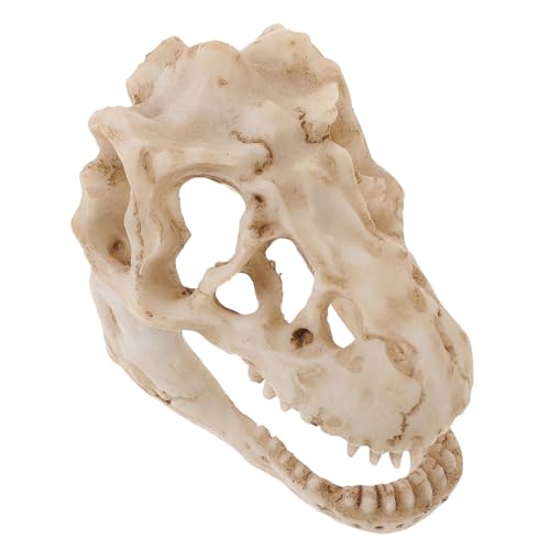 DECOMELODY Realistisches Dinosaurier Schädelmodell aus Langlebigem Resin Detailgetreue Nachbildung Kompakt und Leicht für Schreibtisch und Regaldekoration für Sammler und DECOMELODY Realistisches Dinosaurier Schädelmodell aus Langlebigem Resin Detailgetreue Nachbildung Kompakt und Leicht für Schreibtisch und Regaldekoration für Sammler und von DECOMELODY