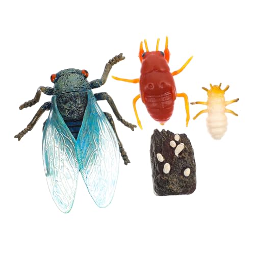 DECOMELODY Realistisches Zikaden Modell aus Pädagogisches Lernspielzeug zur Zikaden Entwicklung Detailgetreue Naturdekoration für Schulunterricht von DECOMELODY