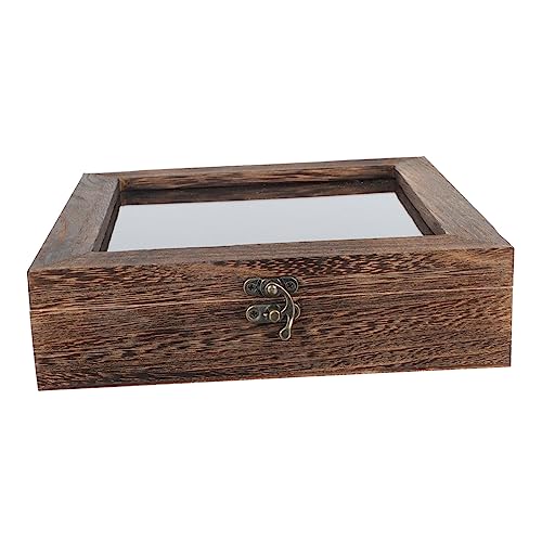 DECORNIJIA 1 Stück Packung Kästchen Mit Insektenproben Für -display-box Anzeige Entomologie Lagerung Klein Musterkoffer Probenbehälter Vorratsbehälter Praktische Mustervitrine Acryl von DECORNIJIA