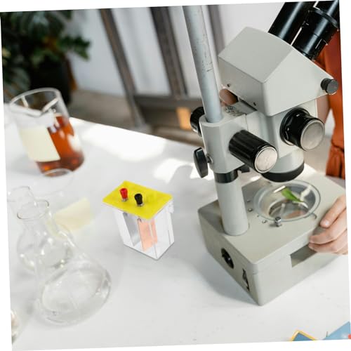 DECORNIJIA Fruchtbatterie Experimentierset mit Batteriebox und Metallplatten Physikalisches Wissenschaftslernspielzeug für Schüler DIY Energieerzeugung durch Obst Laborgerät von DECORNIJIA