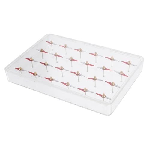 DECORNIJIA Magnetisches Molekülmodell Physik Experimentierset mit Kleinen Magnetischen Nadeln DIY Lernspielzeug für Schüler zur Veranschaulichung Magnetischer Feldlinien und Phänomene von DECORNIJIA