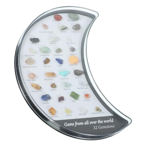 DECORNIJIA Mineralsteine Polierte Unregelmäßige Natursteine Dekosteine für Schreibtisch Geologie Lernen Geschenk Sammler Ornamente von DECORNIJIA