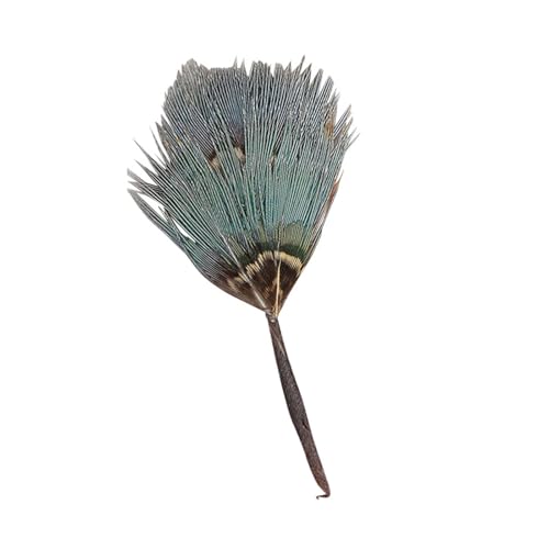 DEKKRYNFV 1:12 Skala Tiny Down Deck Handwerkliche Realistische Quills Für Model House Traditionelle Addons Verschwendung Miniatur Quills von DEKKRYNFV