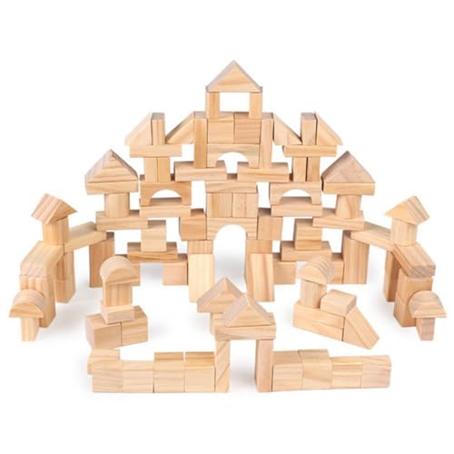 DEKKRYNFV 100pcs/Set Holzblöcke Für Kleinkinder Kreatives Lernen Bildungsspielzeug Easy Storage Design Feinmotorik Praxis Praxis Bildungsspielzeug Für Kinder von DEKKRYNFV