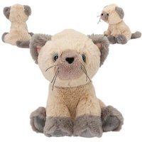 DEPESCHE 0013768 TOPModel Plüsch Katze Amber 16 cm FUR EVER FRIENDS DEPESCHE 0013768 TOPModel Plüsch Katze Amber 16 cm FUR EVER FRIENDS von DEPESCHE TOPMODEL