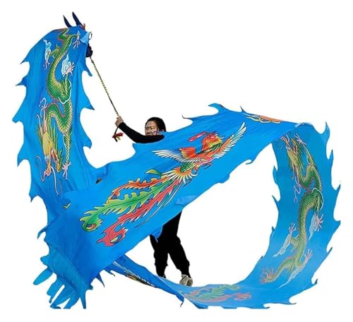 DETPWVWB Drachen-Tanzbänder, fließende Seidendrachen, Outdoor-Frühlingsausflug, Hinterhof, Spielen mit Fiberglas-Handstäben + Reisetasche! Outdoor-Park(Blue,6m/20f) von DETPWVWB