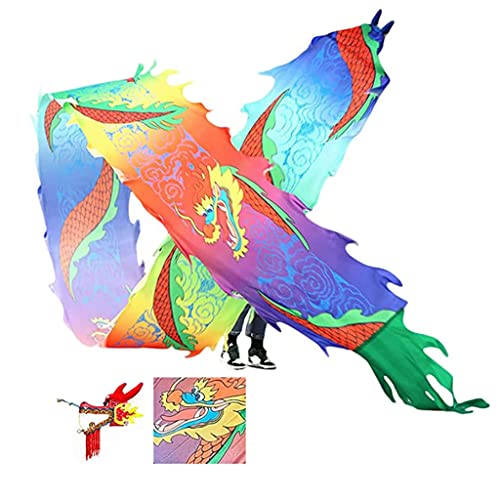 DETPWVWB Drachen-Tanzbänder, fließende Seidendrachen, Outdoor-Sport-Fitnessbänder for Jugendliche/Erwachsene/Ältere, chinesische Volksfitness, Outdoor-Sport, Outdoor-Park(Floral Patterns,8m/26ft) von DETPWVWB