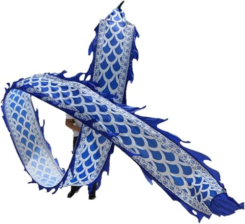 DETPWVWB Drachen-Tanzbänder, fließende Seidendrachen, for das Frühlingsfest Ältere Fitness- und Unterhaltungsgeräte Folk Toys Rave-Zubehör(Blue,8m/26.2ft) von DETPWVWB