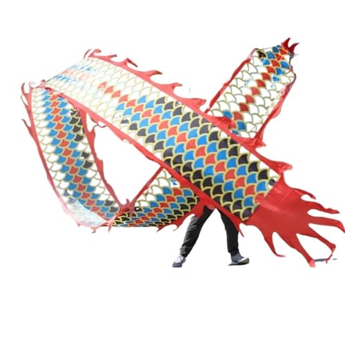 DETPWVWB Drachen-Tanzbänder, fließende Seidendrachen, for das Frühlingsfest Ältere Fitness- und Unterhaltungsgeräte Folk Toys Rave-Zubehör(Multicoloured,12m/39.4ft) von DETPWVWB