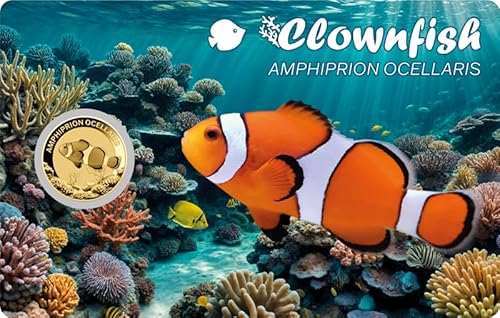 DEUTSCHER MÜNZEXPRESS Clownfish | Sea Creatures | Feingoldmünze | Mehrwertsteuerfrei | In Coincard | Mit Echtheitszertifikat DEUTSCHER MÜNZEXPRESS Clownfish | Sea Creatures | Feingoldmünze | Mehrwertsteuerfrei | In Coincard | Mit Echtheitszertifikat von DEUTSCHER MÜNZEXPRESS