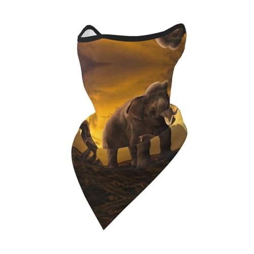 DEXNEL Sonnenuntergang Eltern-Kind Elefant Gesichtsmaske Sommer Abdeckung Schutz Sturmhaube Herren Damen für Strandaktivitäten DEXNEL Sonnenuntergang Eltern-Kind Elefant Gesichtsmaske Sommer Abdeckung Schutz Sturmhaube Herren Damen für Strandaktivitäten von DEXNEL