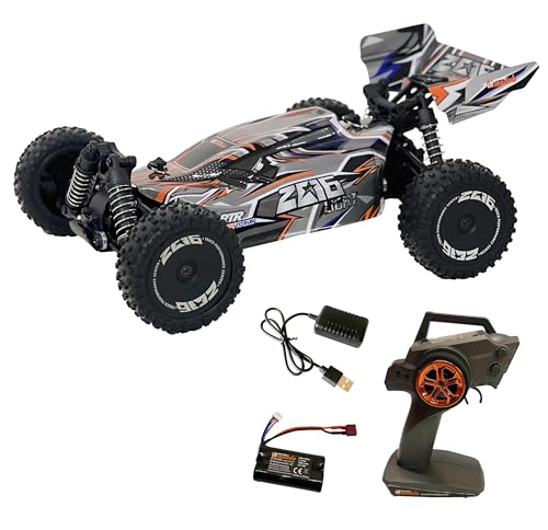 DF Models Z06 Light Buggy RTR (LxBxH 31x20,5x12 cm, ca. 1000 g, Maßstab 1:14, bis zu 40 km/h schnell, ab 14 Jahren, inkl. Akku und USB Ladekabel, ferngesteuertes Auto, Spielzeug) 3133 von DF Models