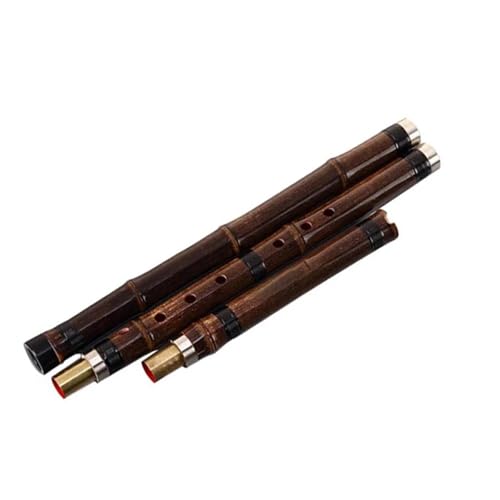 Bambusflöte Musikinstrument Profi(8 Hole G Key) von DGRTYG
