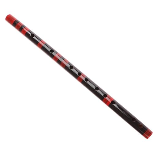 Bambusflöte Professionelle Holzblasinstrumente für Anfängerliebhaber(Style02) von DGRTYG