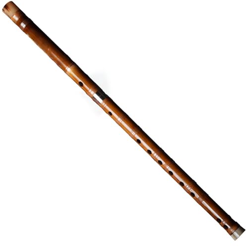 Bambusflöte in D Stimmung für professionelle Erwachsene Anfänger von DGRTYG