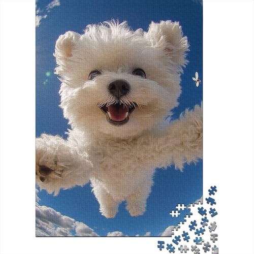 Bichon Frise 1000 Stück Puzzles Für Erwachsene Stress Abbauen Familien-Puzzlespiel 1000-teiliges Puzzle Lernspiel Spielzeug Geschenk Puzzel 1000pcs (75x50cm) von DHBANEIOK