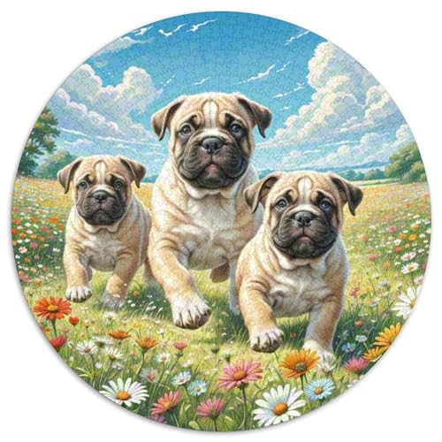 Bullmastiff Puzzle 1000 Teile Schwer Puzzle Spielzeug Lernspiel Impossible Herausforderungsspielzeug Für Erwachsene Kinder 1000pcs (67.5x67.5cm) von DHBANEIOK